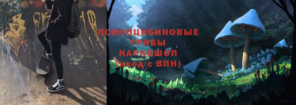 СК Нея