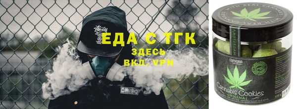 хмурый Болотное
