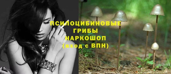 тгк Нефтекумск
