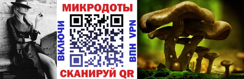 Галлюциногенные грибы мицелий  Тулун 